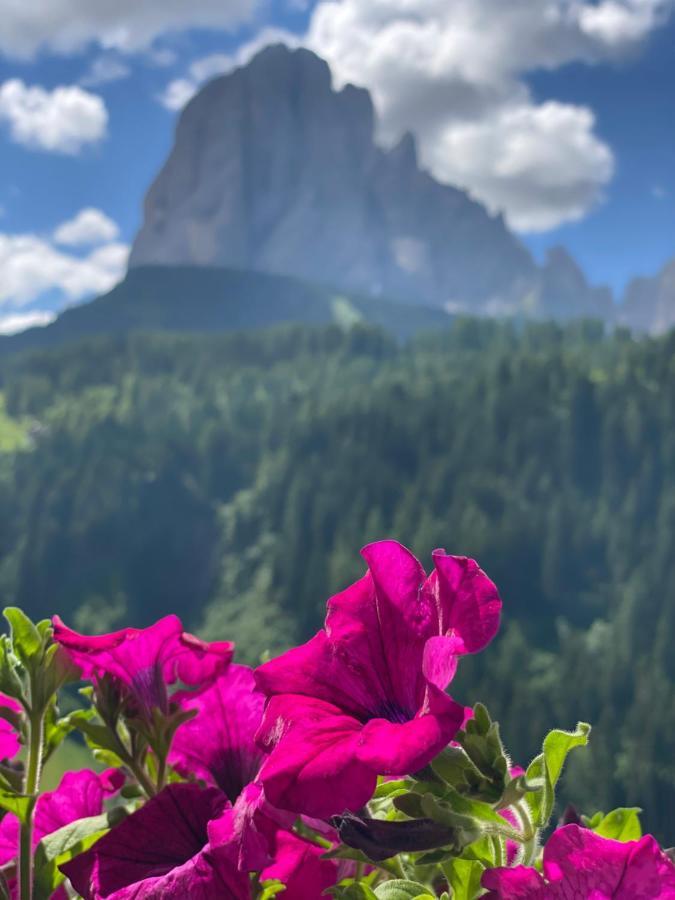 Dorfhotel Beludei Santa Cristina Val Gardena Екстер'єр фото