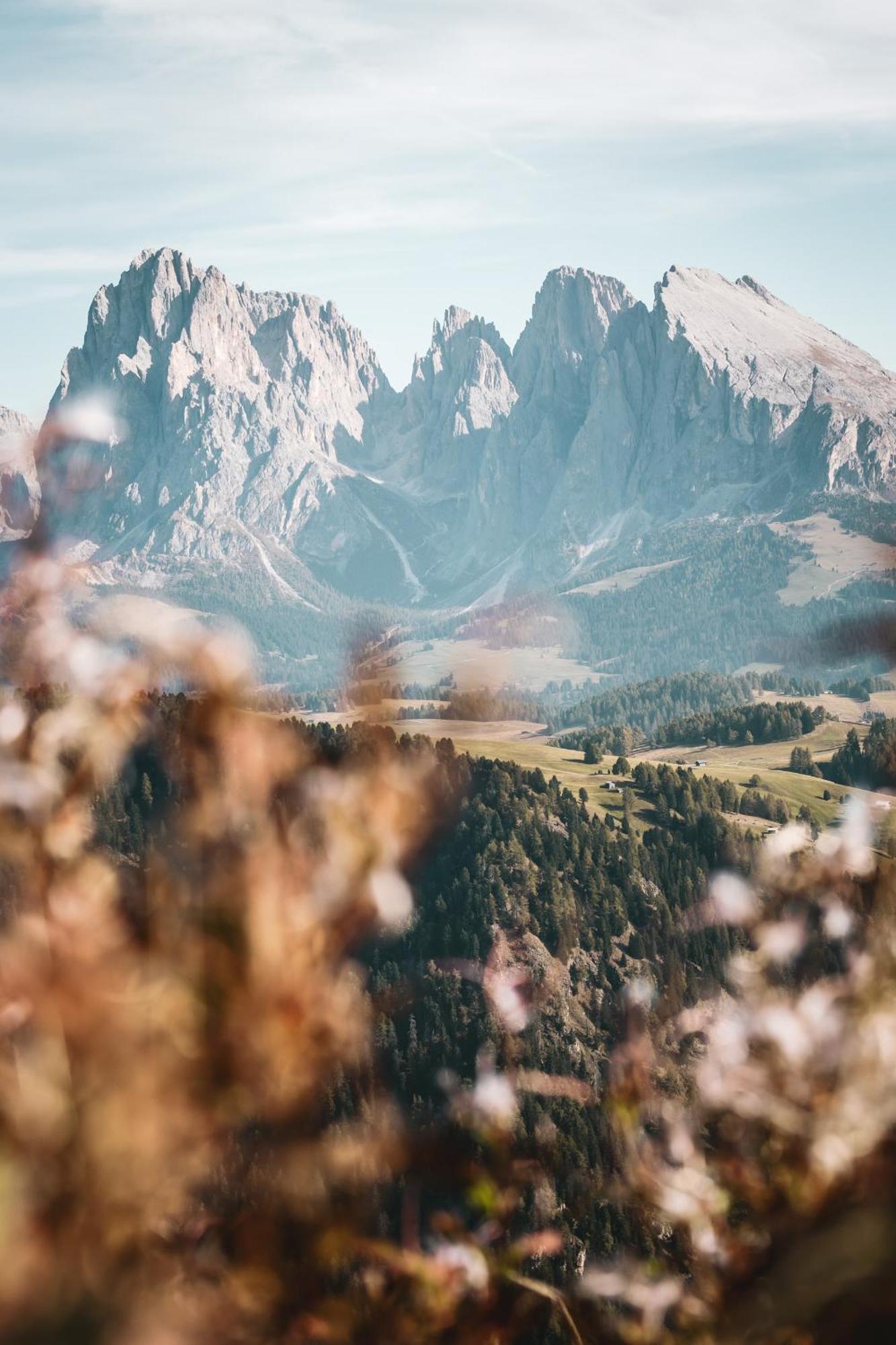 Dorfhotel Beludei Santa Cristina Val Gardena Екстер'єр фото